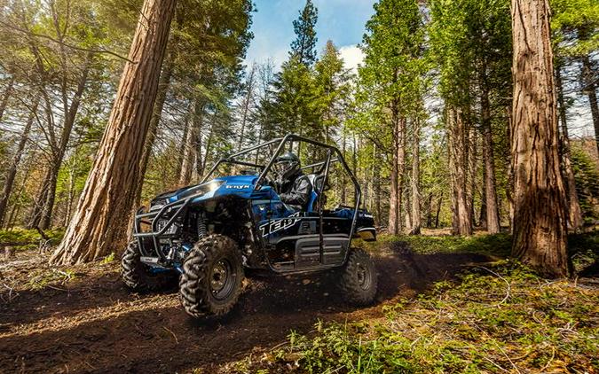 2022 Kawasaki Teryx®