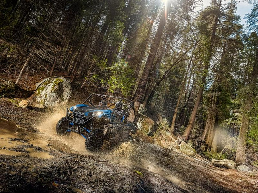 2022 Kawasaki Teryx®