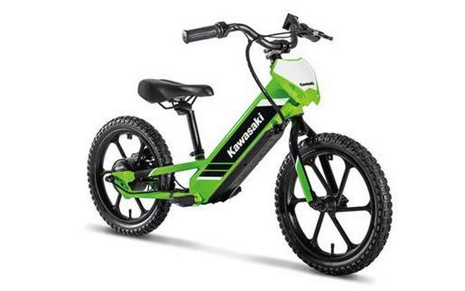 2025 ELEKTRODE 16 - Kawasaki