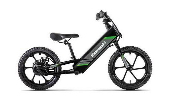 2025 ELEKTRODE 16 - Kawasaki