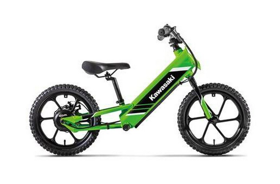 2025 ELEKTRODE 16 - Kawasaki