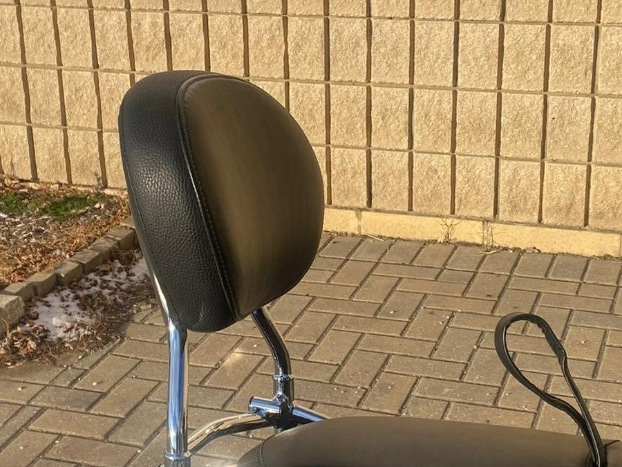 2019 Indian Motorcycle® Chieftain® Limited Dark Walnut