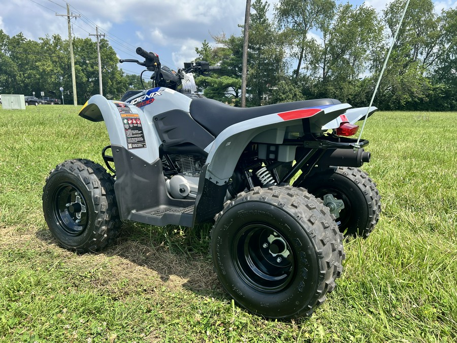 2026 Polaris Phoenix 200