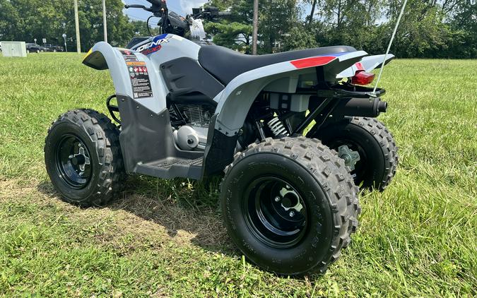 2026 Polaris Phoenix 200
