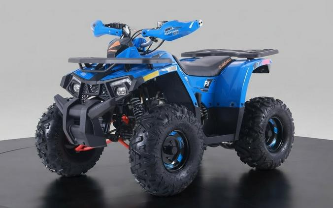 2026 DENAGO MUDHAWK 10 120cc - D10590
