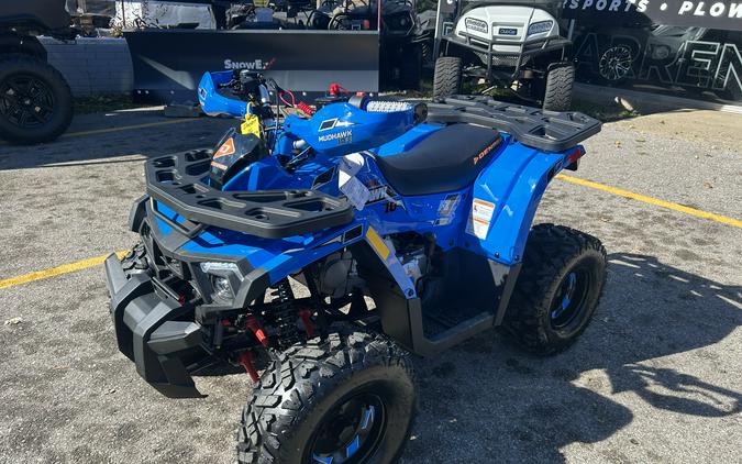2026 DENAGO MUDHAWK 10 120cc - D10587