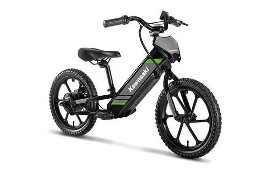 2025 ELEKTRODE 16 - Kawasaki