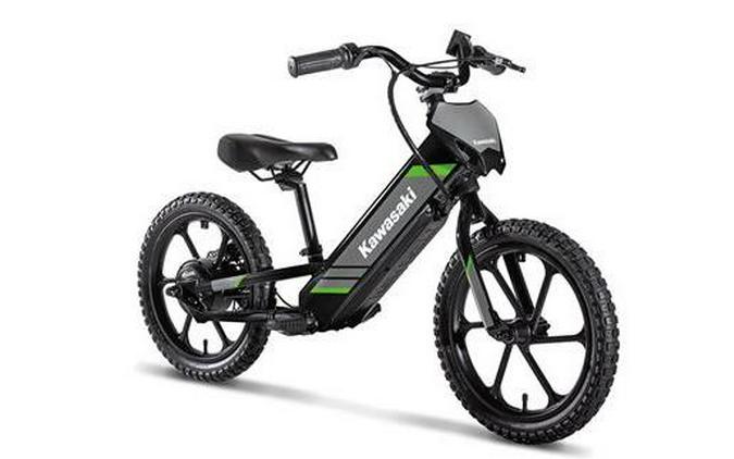 2025 ELEKTRODE 16 - Kawasaki