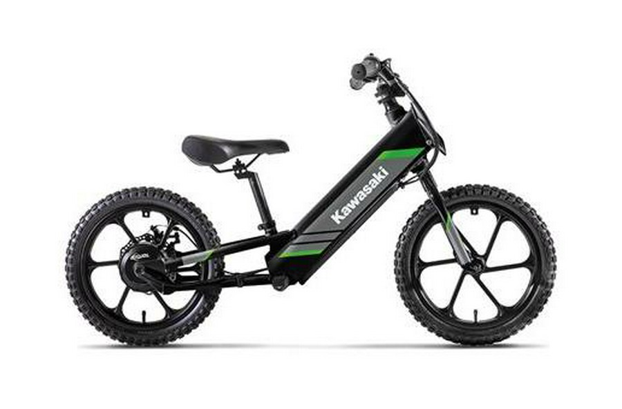 2025 ELEKTRODE 16 - Kawasaki