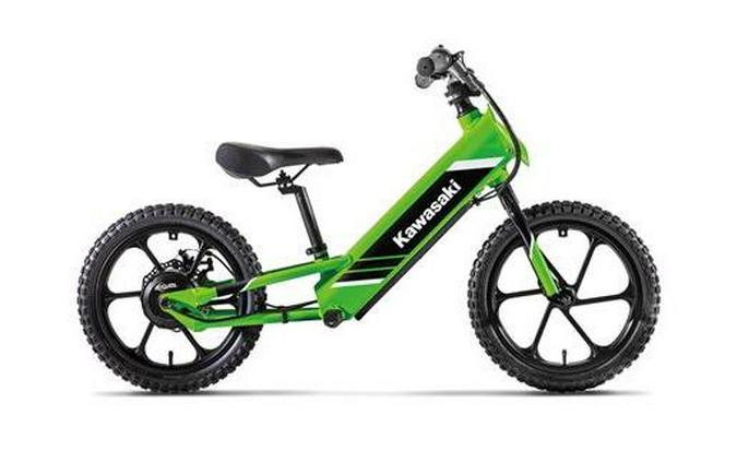 2025 ELEKTRODE 16 - Kawasaki