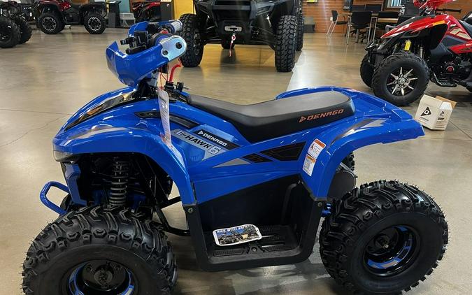 2026 Denago EV E-Hawk 6