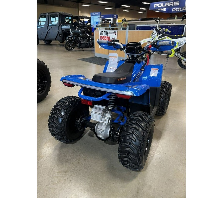 2026 Denago EV E-Hawk 6