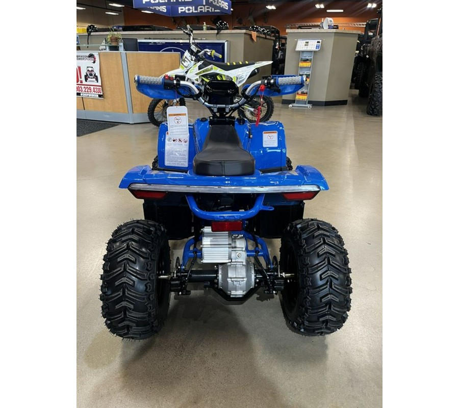 2026 Denago EV E-Hawk 6