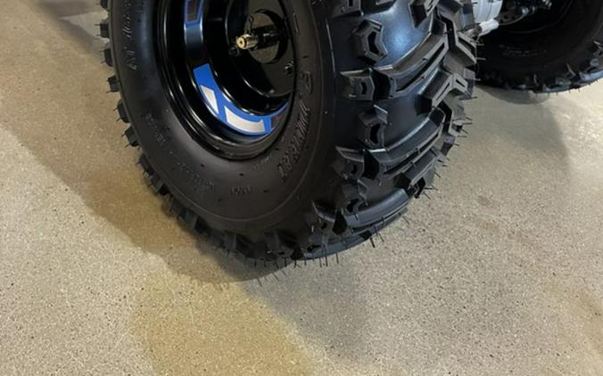 2026 Denago EV E-Hawk 6