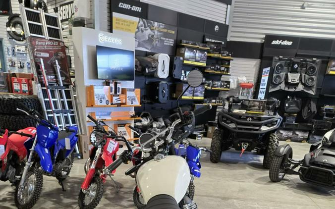 2025 Royal Enfield Bear 650