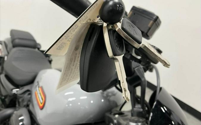 2025 Harley-Davidson Nightster Special Billiard Gray