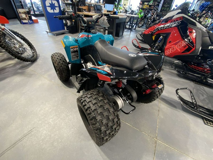 2024 Can-Am® Renegade 70 EFI