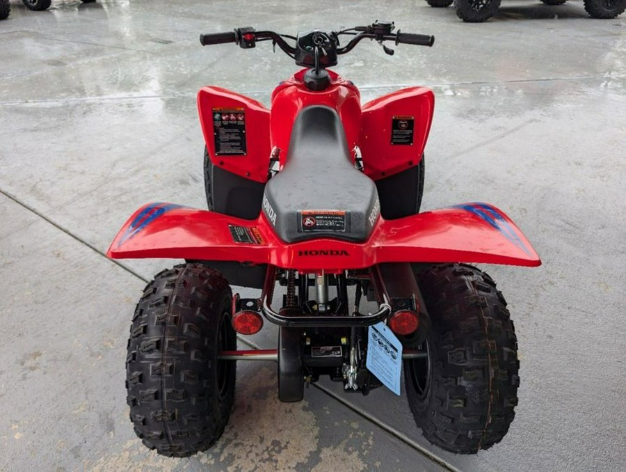 2024 Honda TRX 90X