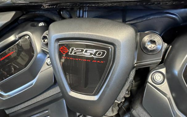 2025 Harley-Davidson PAN AMERICA 1250 ST