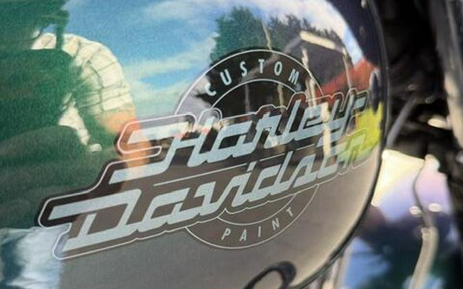 2021 Harley-Davidson Street Glide Special Snake Venom - Black Finish