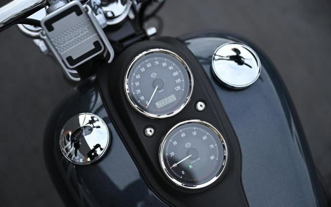 2015 Harley-Davidson® FXDL - Dyna® Low Rider®