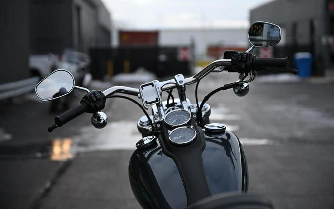 2015 Harley-Davidson® FXDL - Dyna® Low Rider®