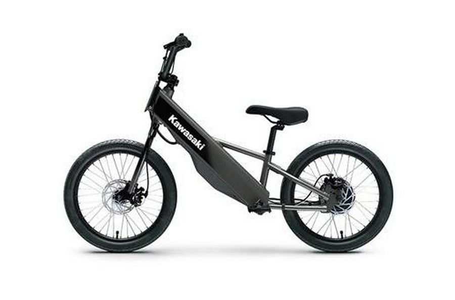 2025 ELEKTRODE 20FS - Kawasaki