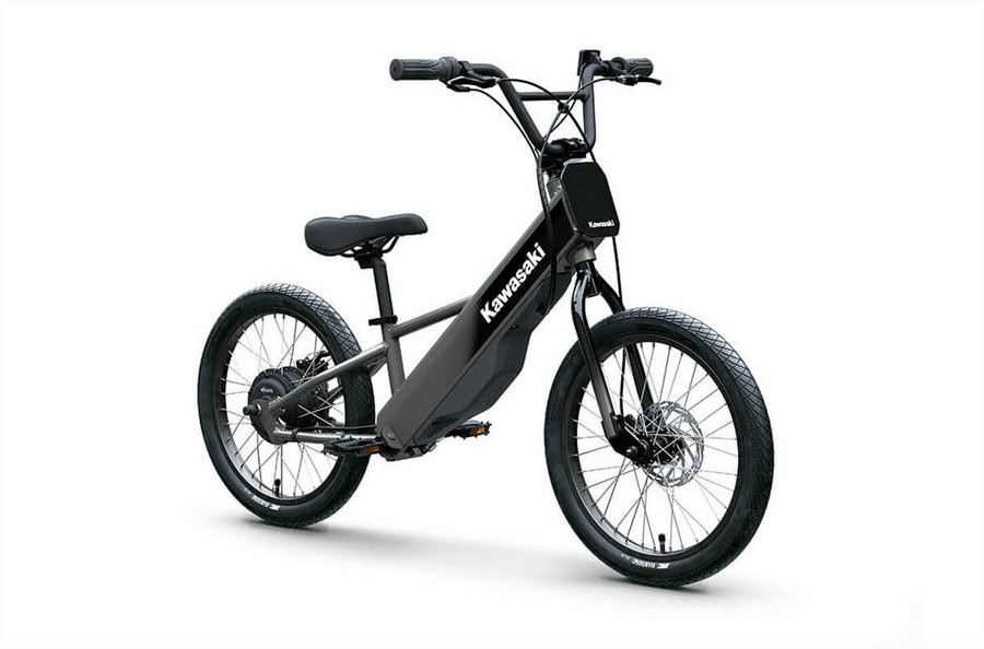 2025 ELEKTRODE 20FS - Kawasaki