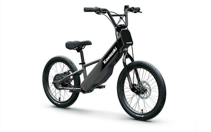 2025 ELEKTRODE 20FS - Kawasaki