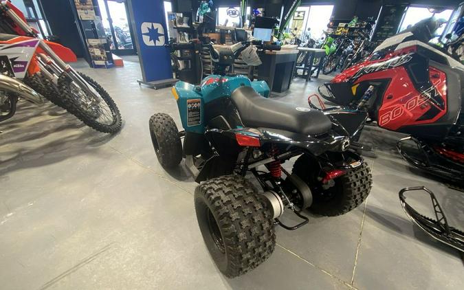 2024 Can-Am® Renegade 110 EFI