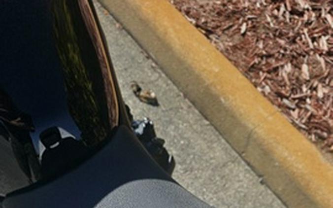 2026 Kawasaki Z900 ABS