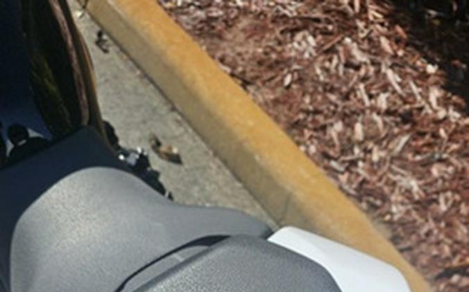 2026 Kawasaki Z900 ABS