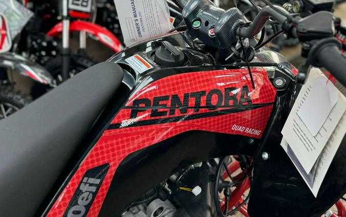 2023 Sunyee pentora 200cc