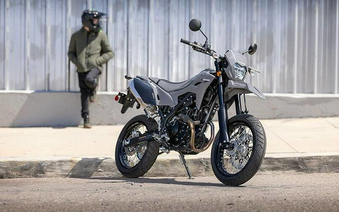 2025 Kawasaki KLX® 230SM ABS