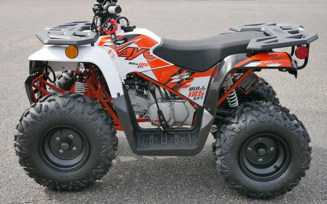 2026 Kayo Bull 125 EFI