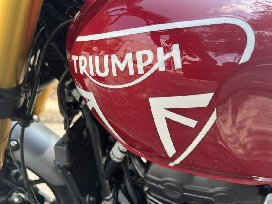 2024 Triumph Speed