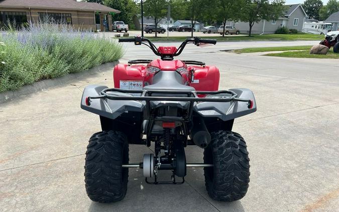 2025 Yamaha Grizzly 110
