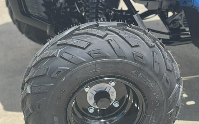 2026 Polaris Sportsman 110