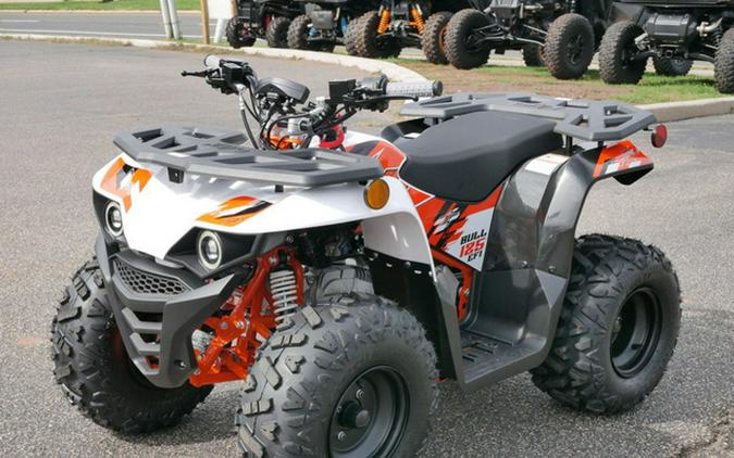 2026 Kayo Bull 125 EFI