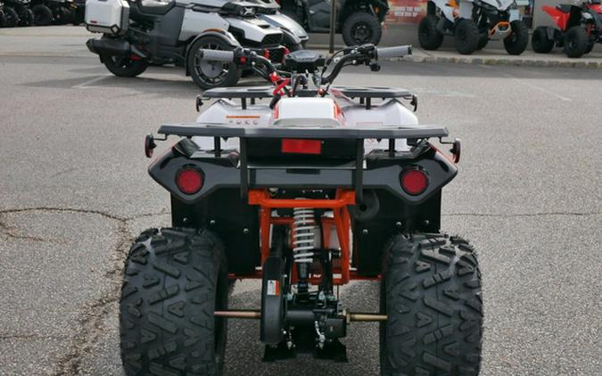 2026 Kayo Bull 125 EFI