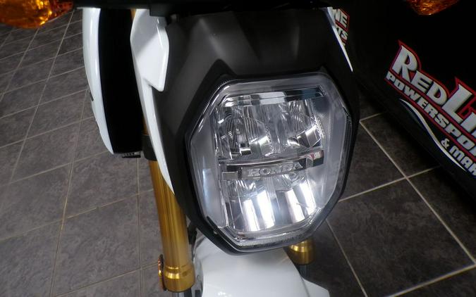 2025 Honda® Grom