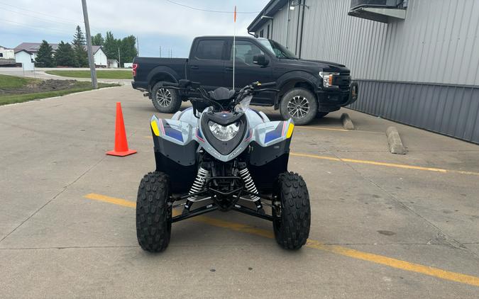 2026 Polaris Phoenix 200