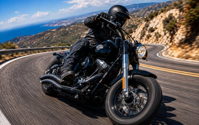 2014 HARLEY-DAVIDSON FLS - C051812