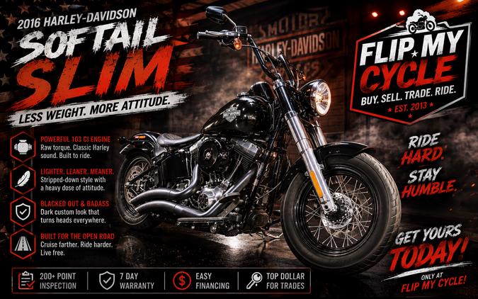 2014 HARLEY-DAVIDSON FLS - C051812