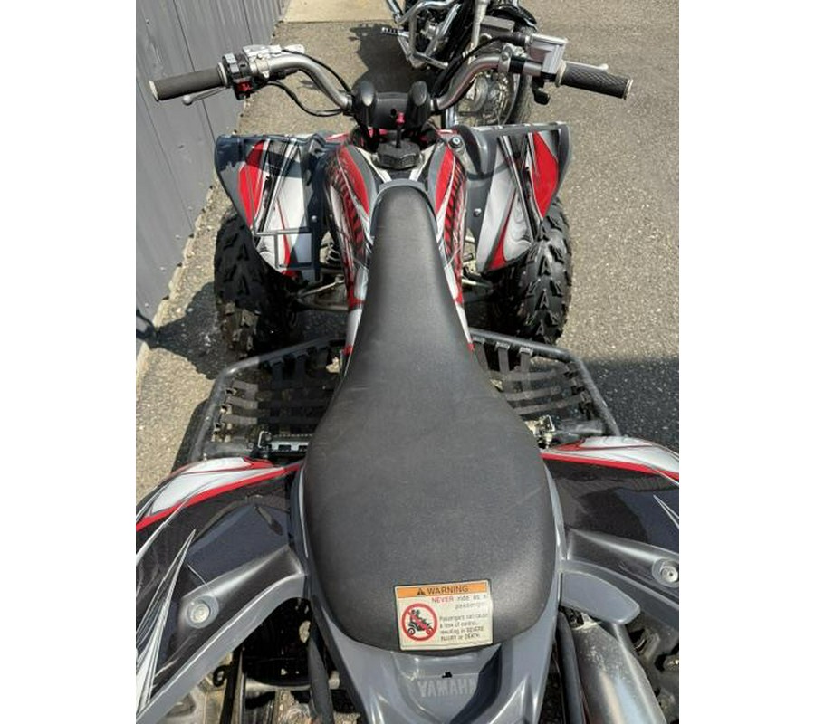 2008 Yamaha RAPTOR 250