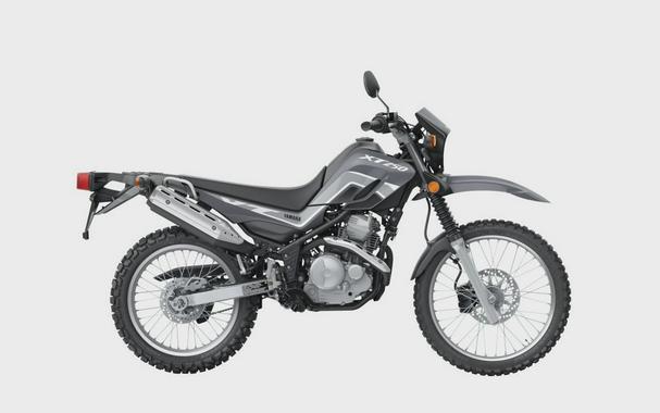 2024 Yamaha XT 250