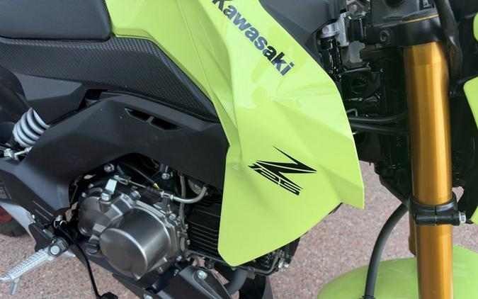 2026 Kawasaki Z125 PRO