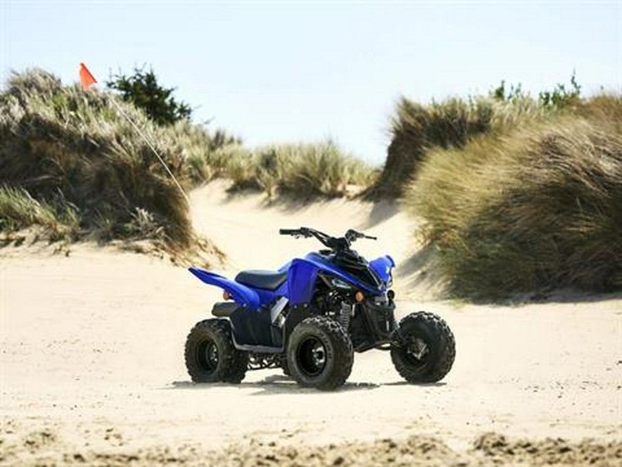 2025 Yamaha Raptor 110