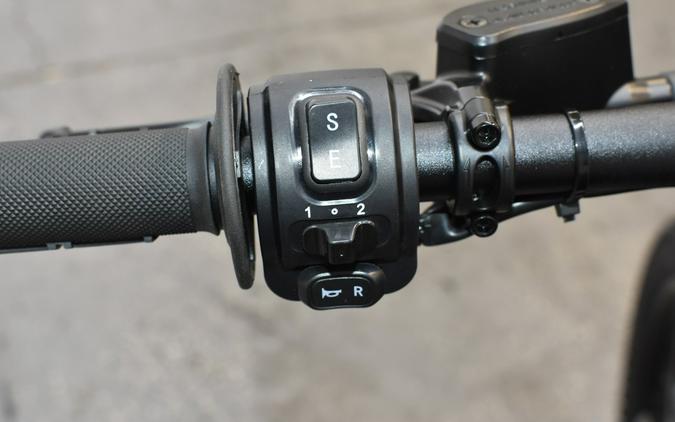 2025 MINI 14/12 - E RIDE PRO