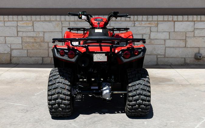 2026 KAWASAKI BRUTE FORCE 300